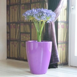 Vaso Prisma round viola