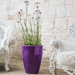 Vaso Prisma round viola